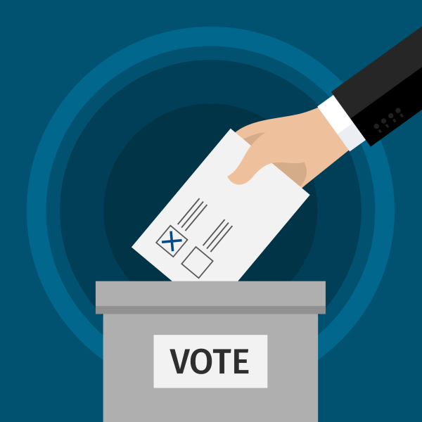 election vote